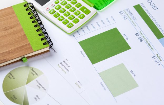 حسابداری سبز چیست و چه نقشی در پایداری سازمان‌ها دارد؟